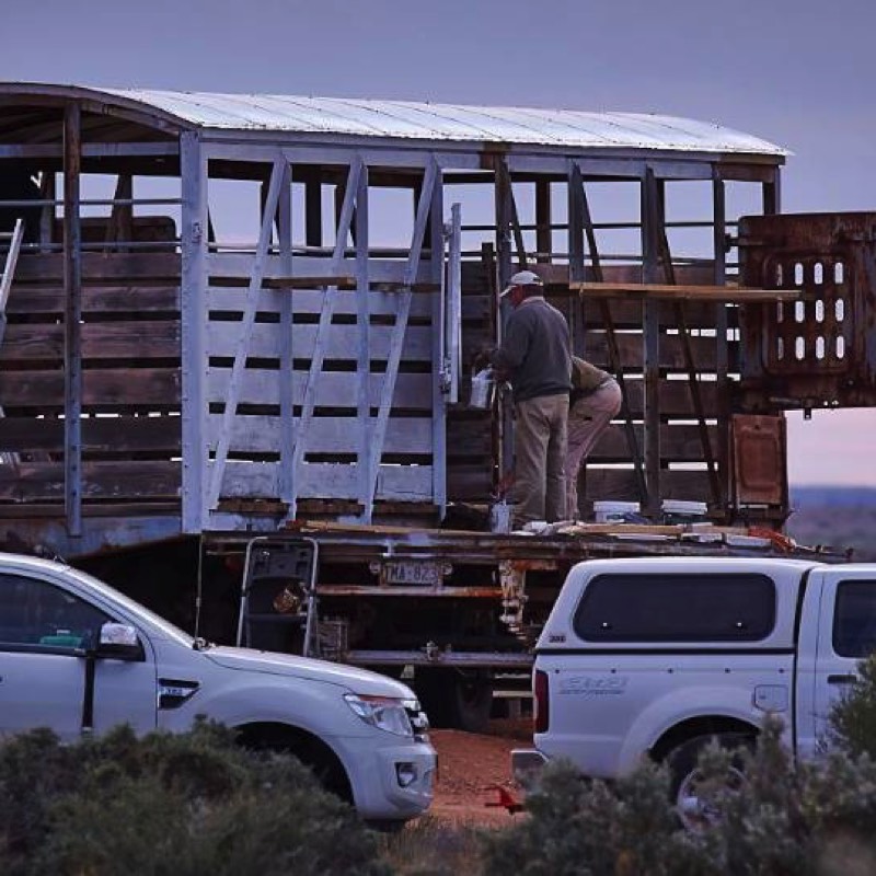 Restoring the cattle truck