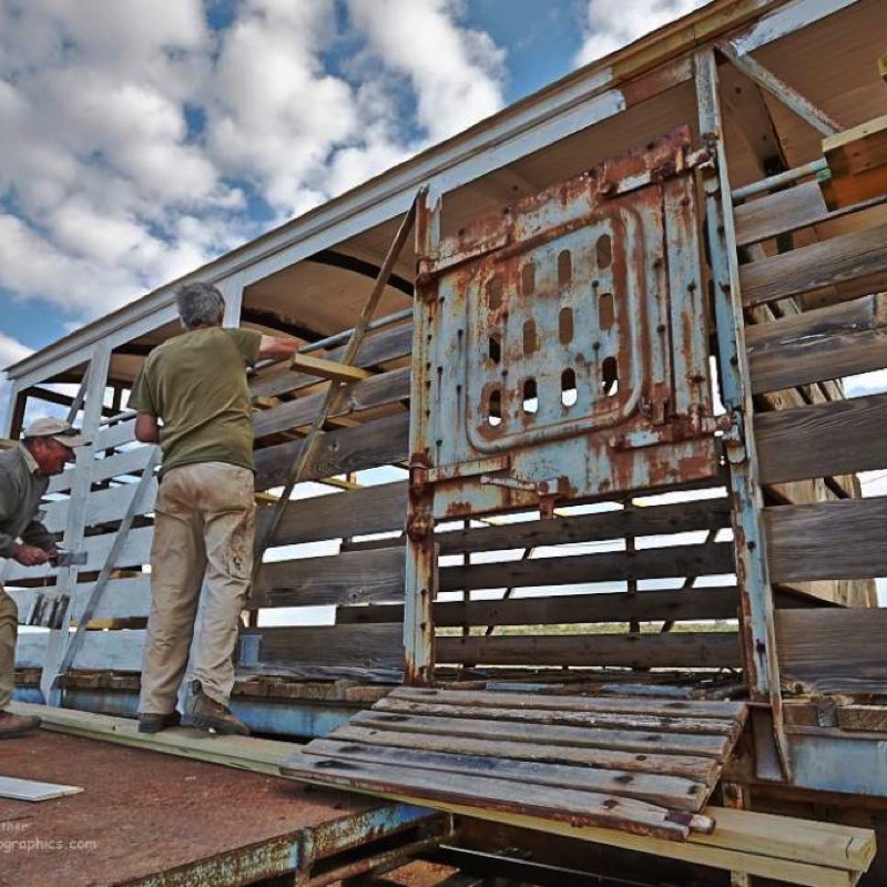 Painting the Cattle truck
