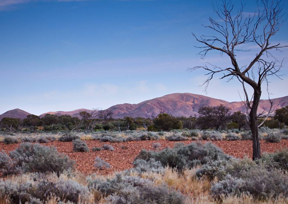 Country West of Farina