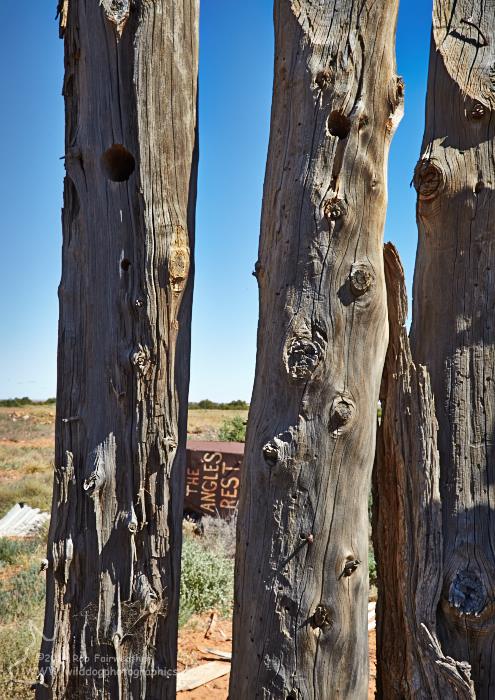 Remaining timber walls of a Farina Brothel "The Angels Rest" - right next door to the Farina Police Station