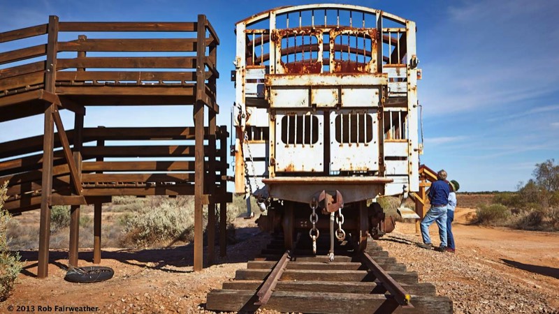 First inspection of the sheep waggon