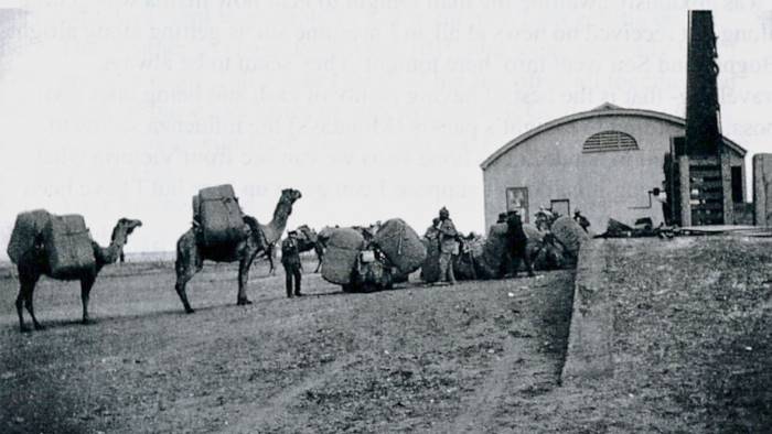 Camel train unloading wool at the loading ramp