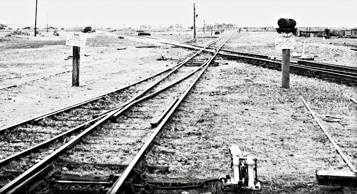 Farina diamond crossing